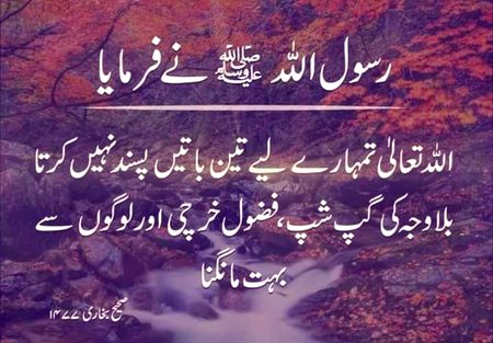 Islamic Quotes image