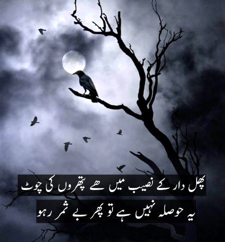 بے ادب رہو ۔۔۔ تو بے قدر رہو