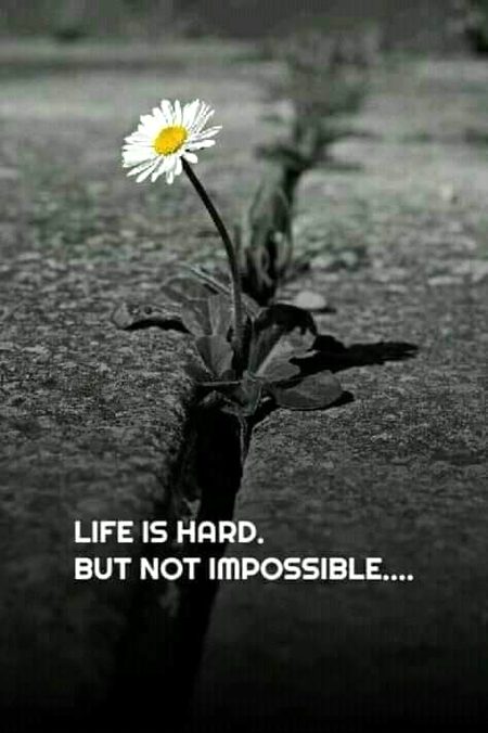 Life Advice image