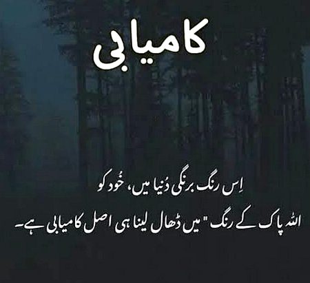 Islamic Quotes image