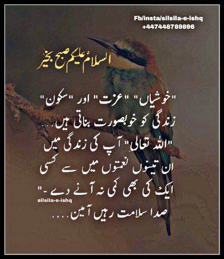 Islamic Quotes image