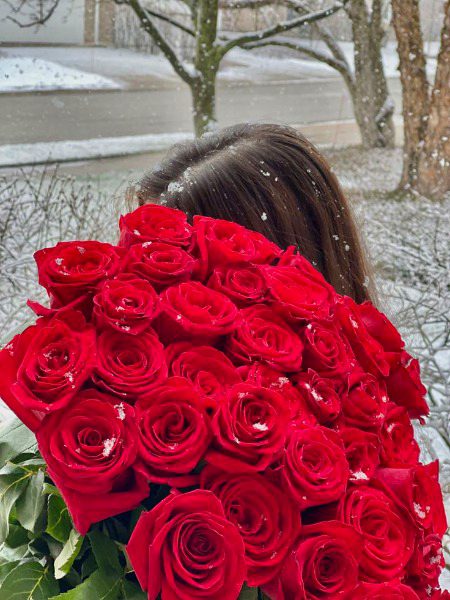 Beautiful Nature image