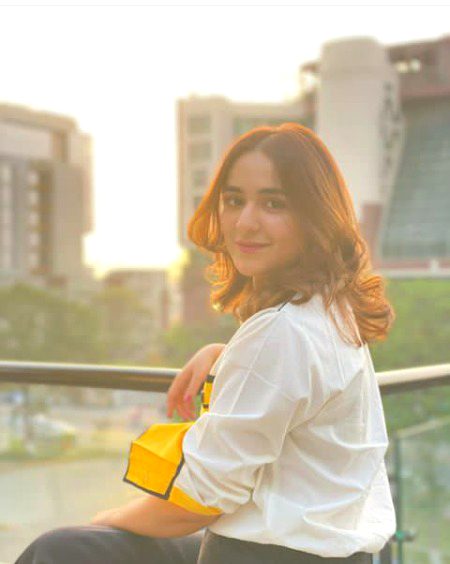 Pakistani Celebs image