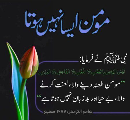 Islamic Quotes image