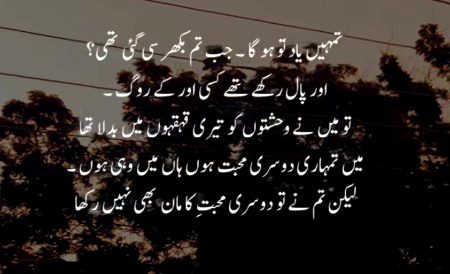 Sad Poetry image