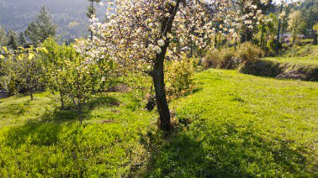 Beautiful Nature....