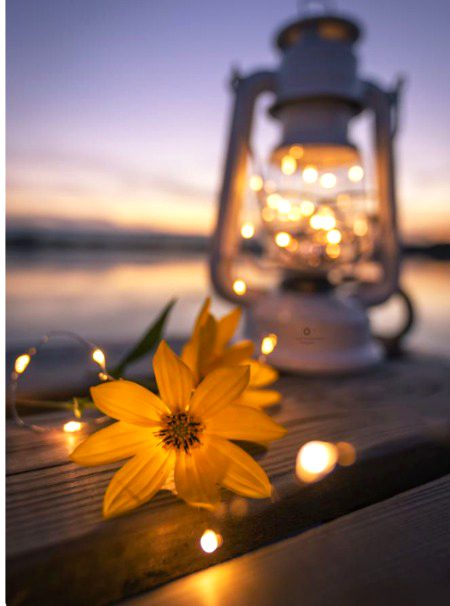 Beautiful Nature image