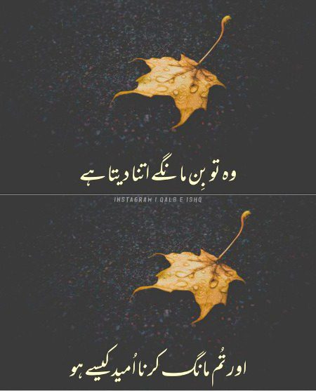 Islamic Quotes image