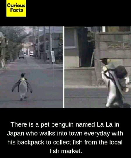 Interesting Posts image