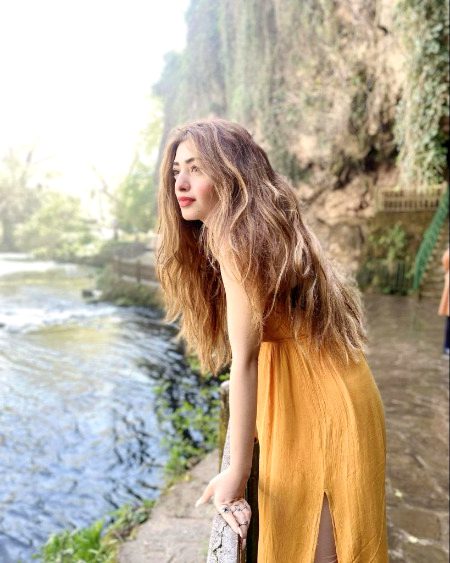 Pakistani Celebs image