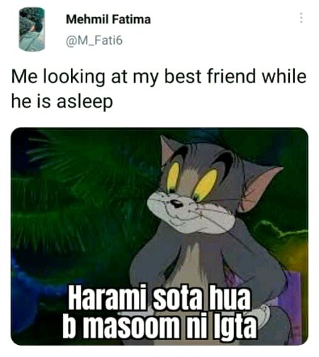 Memes & Satire image