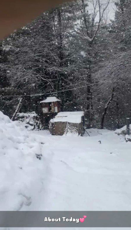 Beautiful Nature image