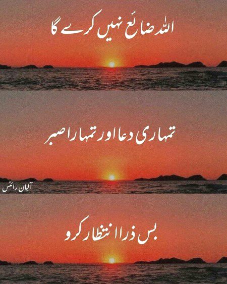 Islamic Quotes image