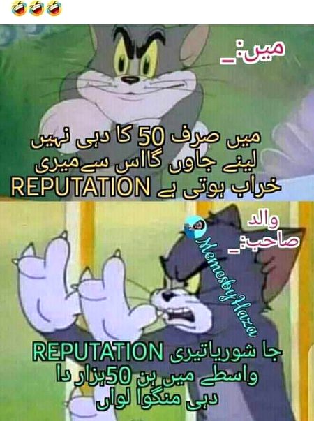 Memes & Satire image