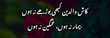 Sad Poetry image