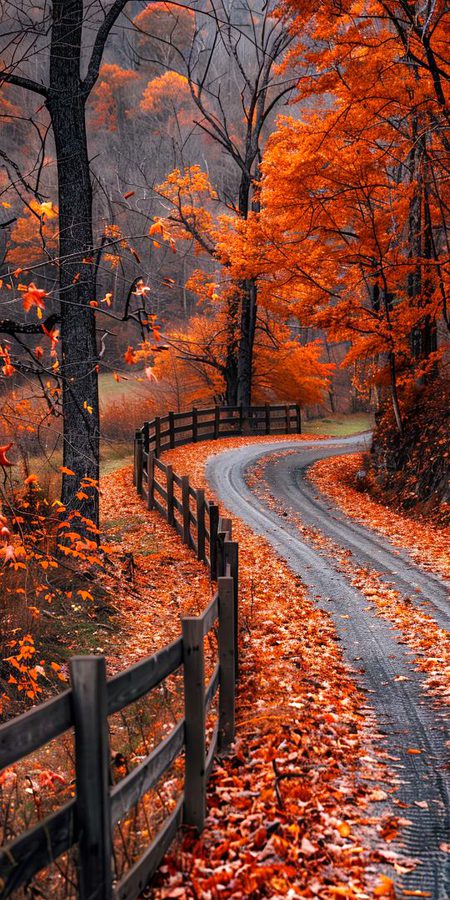 Beautiful Nature image