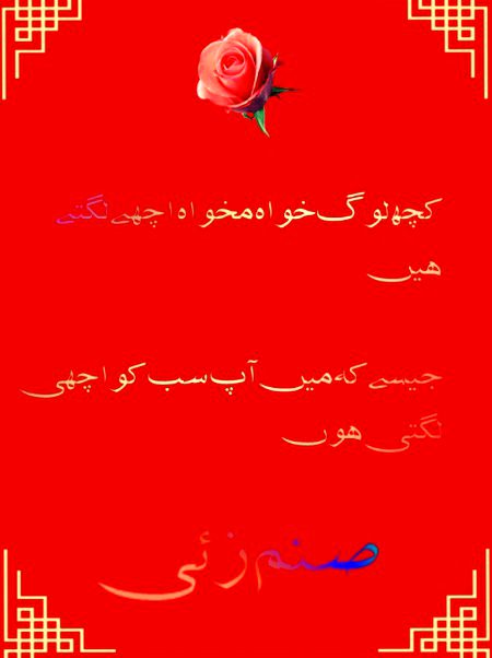 ❤️💗💚💛❤️💗💚💛❤️💗💚💛