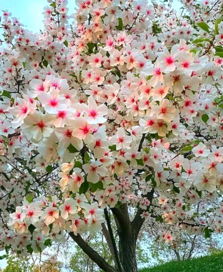 Beautiful Nature image