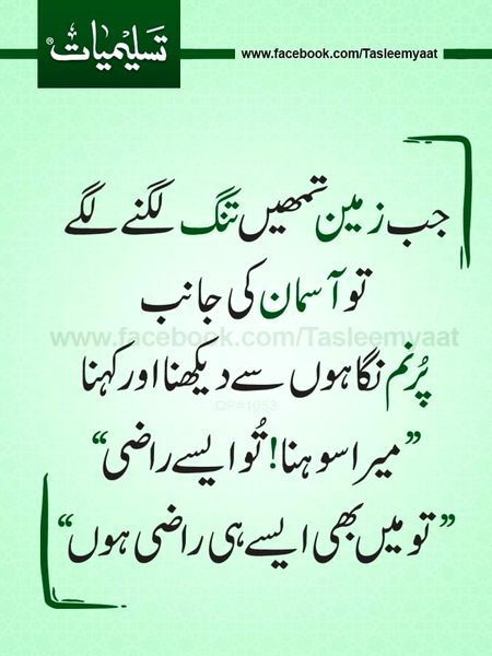 Islamic Quotes image