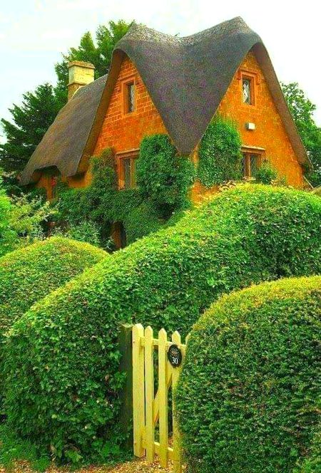 Beautiful Structures image