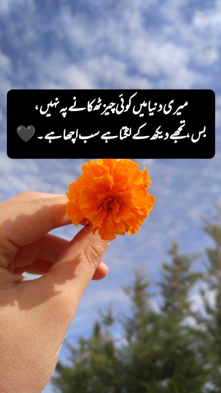 Romantic Poetry image