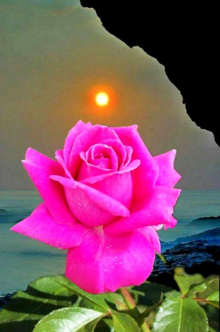 Beautiful Nature image