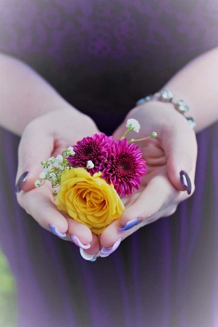 Beautiful Nature image