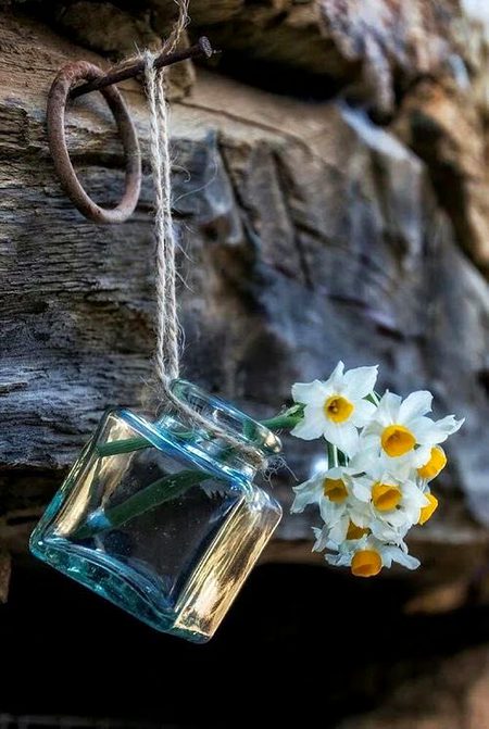 Beautiful Nature image