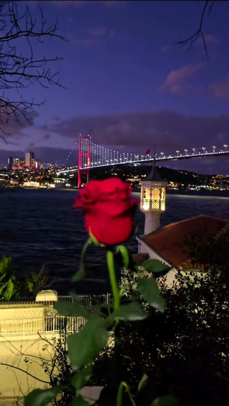 *پھر نئے سال کی سرحد پہ کھڑے ہیں ہم لوگ❤️🩹*
*راکھ ہو جائے گا یہ سال بھی حیرت کیسی*💔🥲