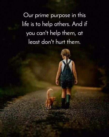 Absolutely Yes💝