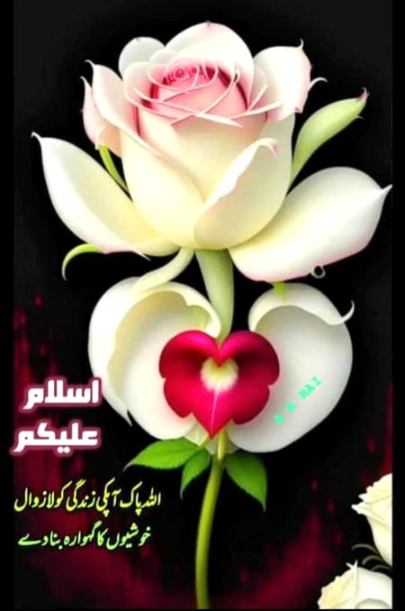 Islamic Quotes image