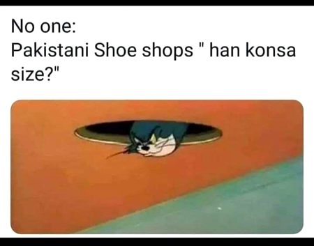 Memes & Satire image