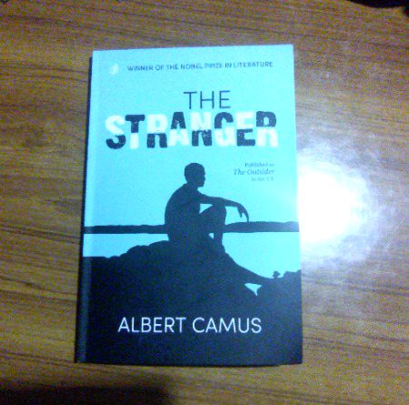 “I may not have been sure about what really did interest me, but I was absolutely sure about what didn't.”
― Albert Camus, The Stranger