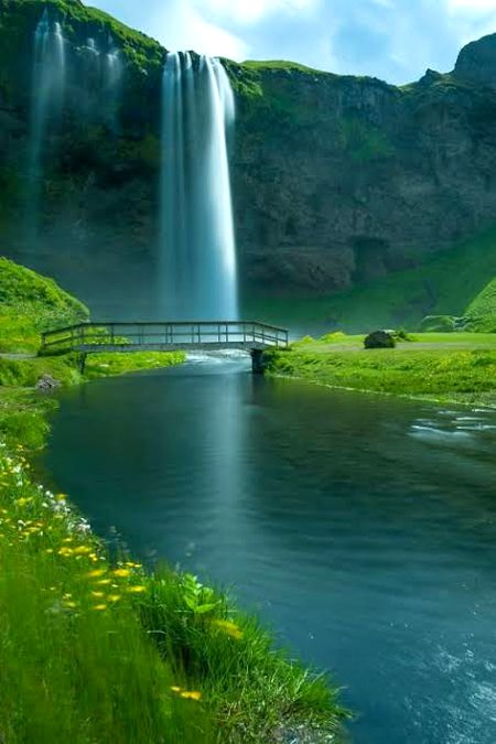 Beautiful Nature image