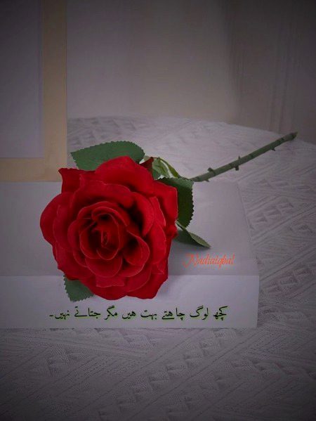 Sad Poetry image
