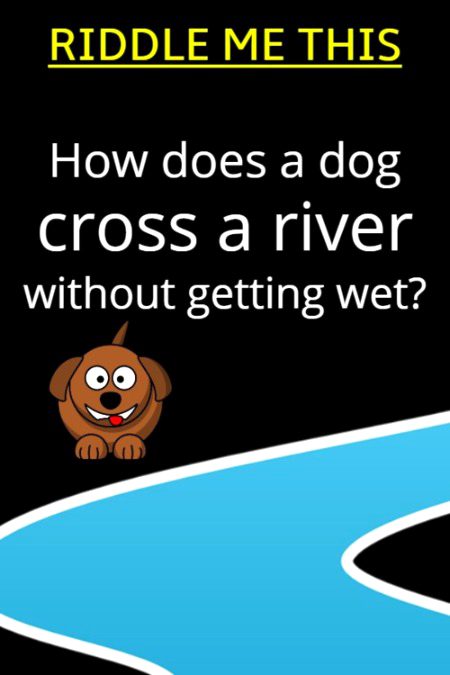 Riddles & Puzzles image