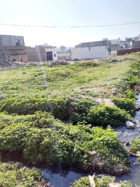 Beautiful Nature image