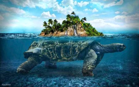Beautiful Nature image