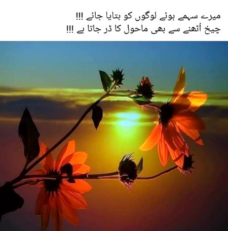 Sad Poetry image