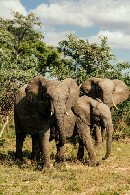 Beautiful Nature image