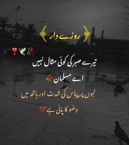 Islamic Quotes image