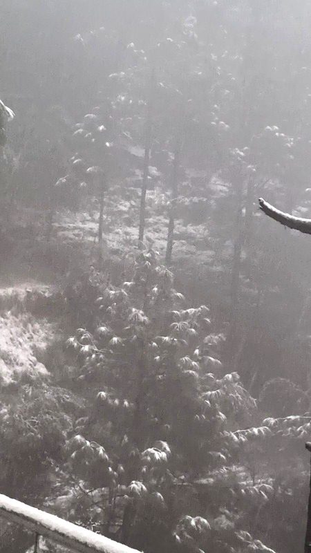 Beautiful Nature image