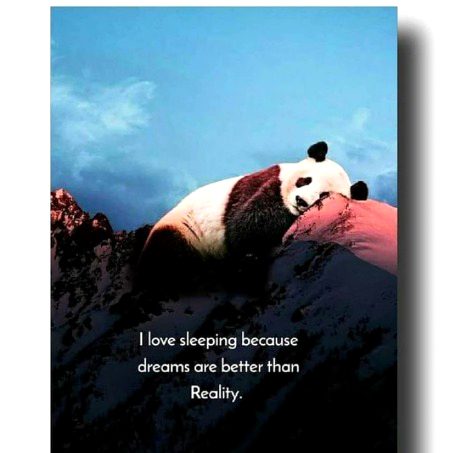 I love sleeping👍👍👍
