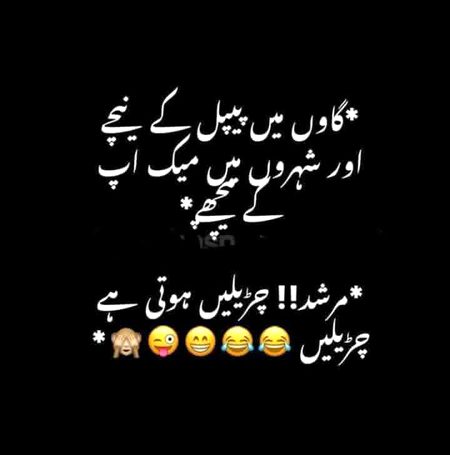 Memes & Satire image