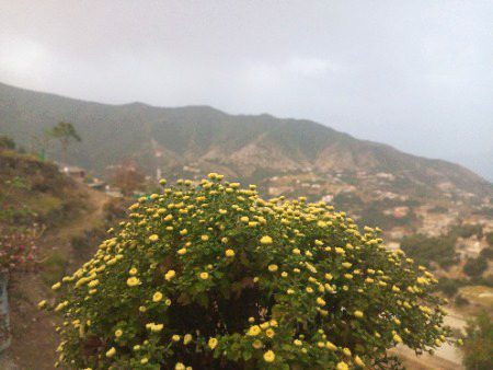 Rainy Morning 🌅