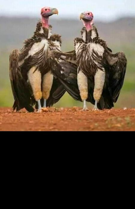 تجھے تو میرا صبر مارے گا....
بددعا تو بزدل لوگ دیتے ہیں!!! 
انشاء اللہ 🥲 murshid 🫡 💔