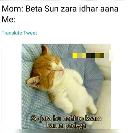 Memes & Satire image