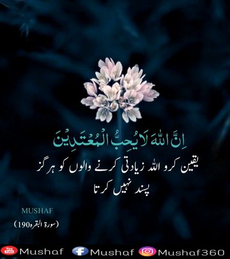 Islamic Quotes image