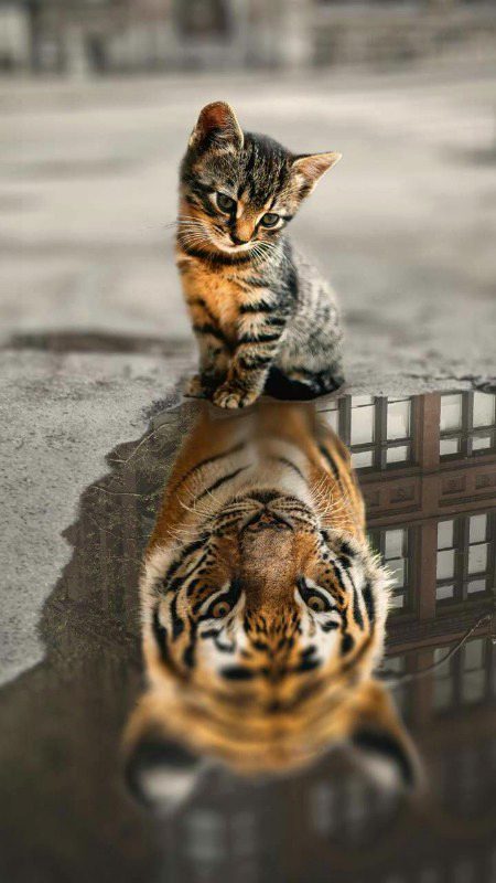 Beautiful Nature image