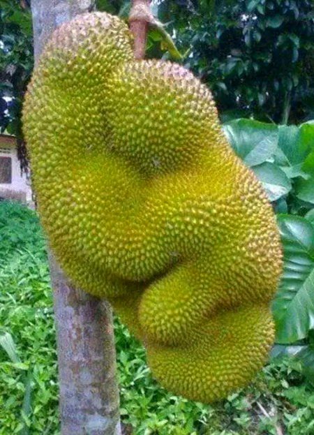 Beautiful Nature image